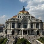 DE Mexico CD Walking Tour with Local Guide and Bilingual - What You Should Know Before Booking