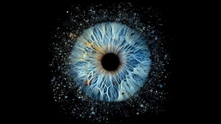 Deauville: Reveal the beauty of your iris with Iris Galerie - Why Is This Experience Valuable?