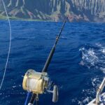Deep Sea Sport Fishing - Why This Tour Offers Good Value
