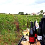 Dégustation de champagne balade panoramique dans les vignes - Transportation, Duration, and Practical Details