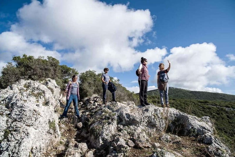 Delphi: Ancient Footpath Guided Hike - Who Will Love This Tour?