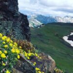 Denali 4 Hour Hiking Adventure with Naturalist Guide - The Itinerary Breakdown