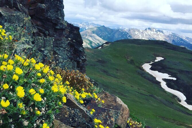 Denali 4 Hour Hiking Adventure with Naturalist Guide - The Itinerary Breakdown