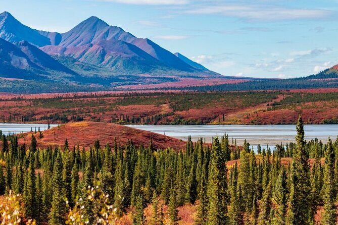 Denali Highway Overnight Excursion - What’s Included and What to Keep in Mind