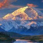 Denali Summer Winter Trial Shuttle with Professional Camera - Why This Tour Is a Great Value