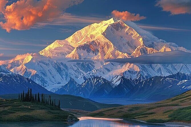 Denali Summer Winter Trial Shuttle with Professional Camera - Why This Tour Is a Great Value