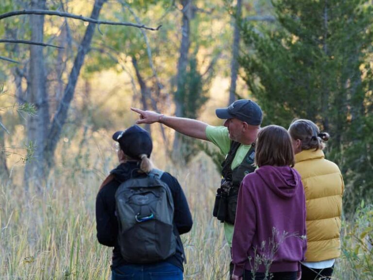 Denver: Birding Basics and Beyond - The Experience in Action  