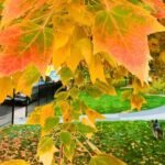 Denver City Highlights Tour - The Value of the Tour at $49