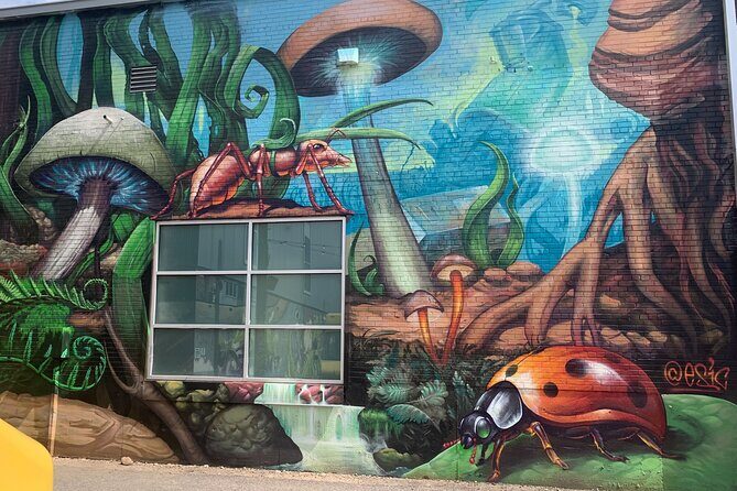 Denver Graffiti North RiNo Tour - What You Can Expect from a Typical Tour