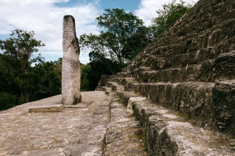 Desde Palenque: Zona Arqueológica Calakmul - Who should consider this tour?
