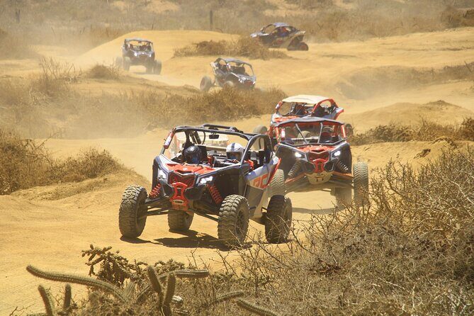 Desert and Beach Off Road Tour in Cabo San Lucas - The Value of the Tour