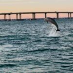 Destin: 90-Minute Boat Ride With Cruise Destin Bay - Who Will Love This Tour?