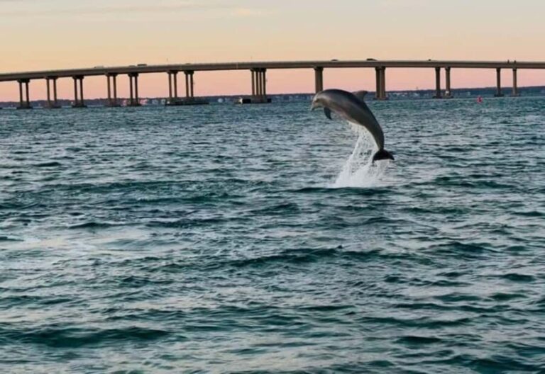 Destin: 90-Minute Boat Ride With Cruise Destin Bay - Who Will Love This Tour?