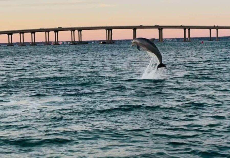 Destin: 90-Minute Boat Ride With Cruise Destin Bay - Who Will Love This Tour?