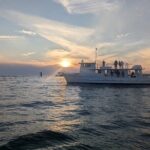 Destin Family Friendly Dolphin Watching Adventure - The Value of the Experience