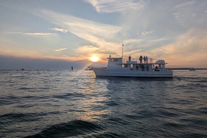 Destin Family Friendly Dolphin Watching Adventure - The Value of the Experience