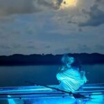 Destin FWB Full Moon Clear Kayak Tour - Final thoughts