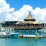 Destin Harbor Boat Ride and Dolphin Watching on the Hopper - Who Should Book This Tour?