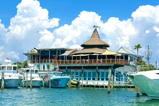 Destin Harbor Boat Ride and Dolphin Watching on the Hopper - Who Should Book This Tour?