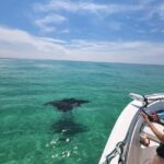 Destin: Private Morning Dolphin Cruise - The Value of a Private Dolphin Cruise