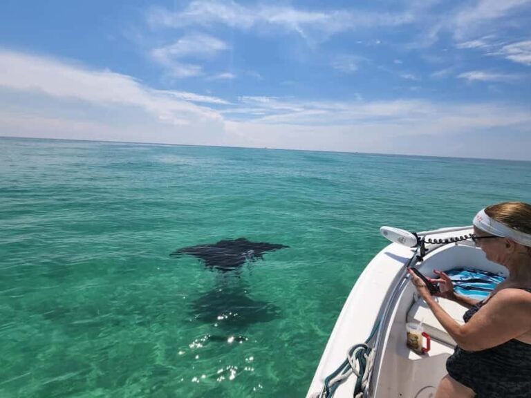 Destin: Private Morning Dolphin Cruise - The Value of a Private Dolphin Cruise