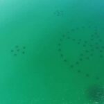 Destin: Reef Snorkeling Adventure - Itinerary Breakdown: What To Expect