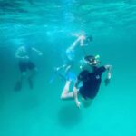 Destin: Snorkeling, Dolphins, and Crab Island - Exploring the Tour Itself