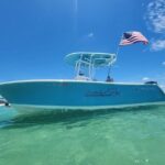 Destination and or Special Occasion Cruise - The Sum Up