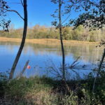 Detective Club: a nature investigation game for the whole family! - Is This Experience Worth It?