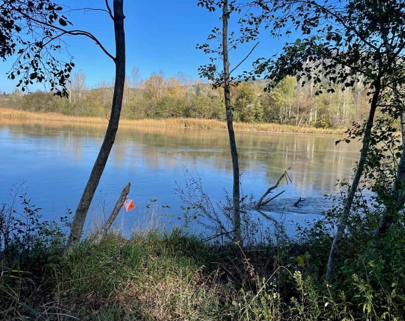 Detective Club: a nature investigation game for the whole family! - Is This Experience Worth It?