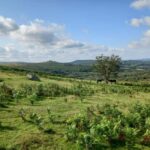 Devon: Dartmoor National Park Guided Tour - Practical Details and Considerations