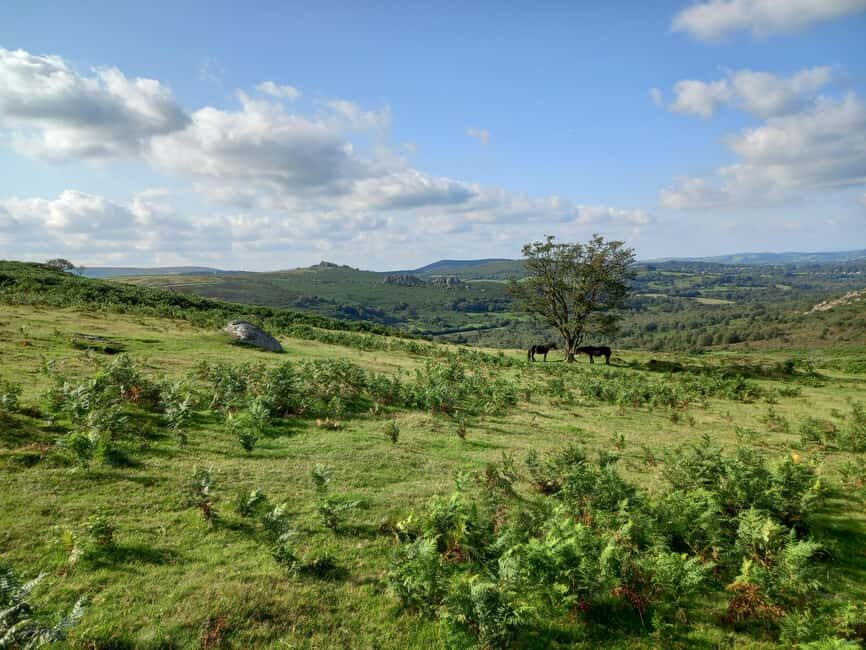 Devon: Dartmoor National Park Guided Tour - Practical Details and Considerations