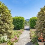 Dining Experience with cooking demo in Pavia at a local's Home - The Sum Up