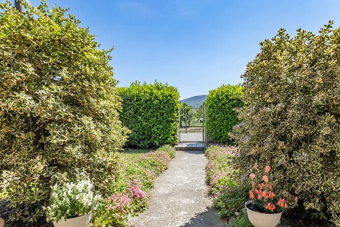 Dining Experience with cooking demo in Pavia at a local's Home - The Sum Up