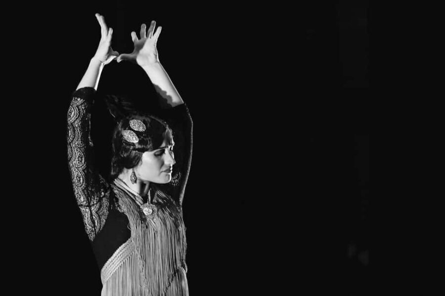 Dinner and UNESCO-protected flamenco show, in a private van from Alicante - What Sets This Tour Apart