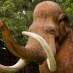 Dinosaur World Cave City - Detailed Breakdown of the Itinerary