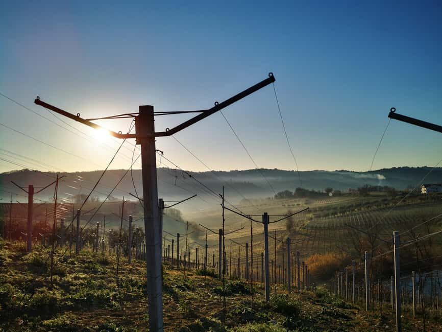 Discover Abruzzo and Castelferrato: Visit Vineyards and Wine Tasting - Practical Details and Tips  