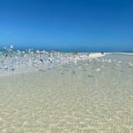 Discover Amazing Island of Holbox Punta Mosquitos, Included Transportation - Practical Considerations