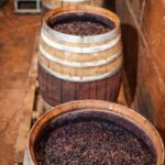 Discover Antigonea in a perfect escape from Gjirokastra - Practical Details and Tips