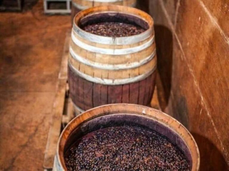 Discover Antigonea in a perfect escape from Gjirokastra - Practical Details and Tips