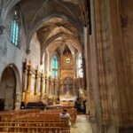 Discover Avignon combined with unique food & wine tasting - Final Thoughts