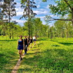Discover Best of Sigulda and Gauja National Park In One Day - Transport and Practical Details