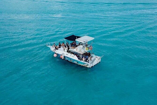 Discover Cozumel's Reef: Glass-bottom Boat Snorkeling Adventure - Who Will Love This Tour?