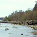 Discover Estonia-car tour from Tallinn to Keila-Joa Waterfal - The Sum Up