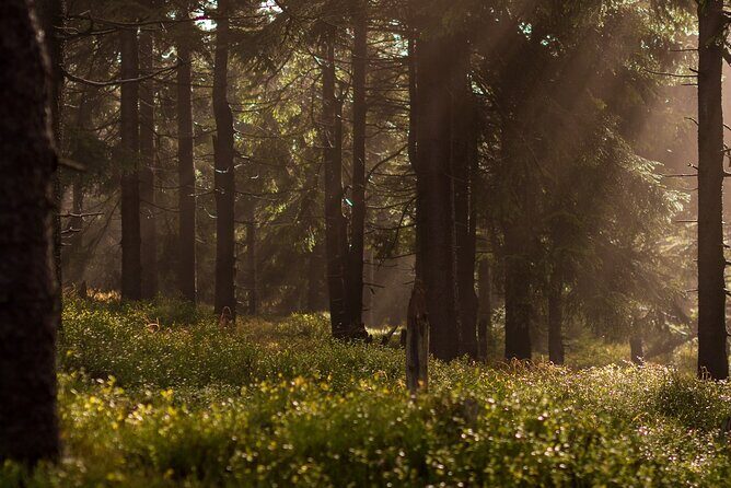 Discover Hiking Trails and a Convent in Desierto de los Leones - What We Love About This Experience