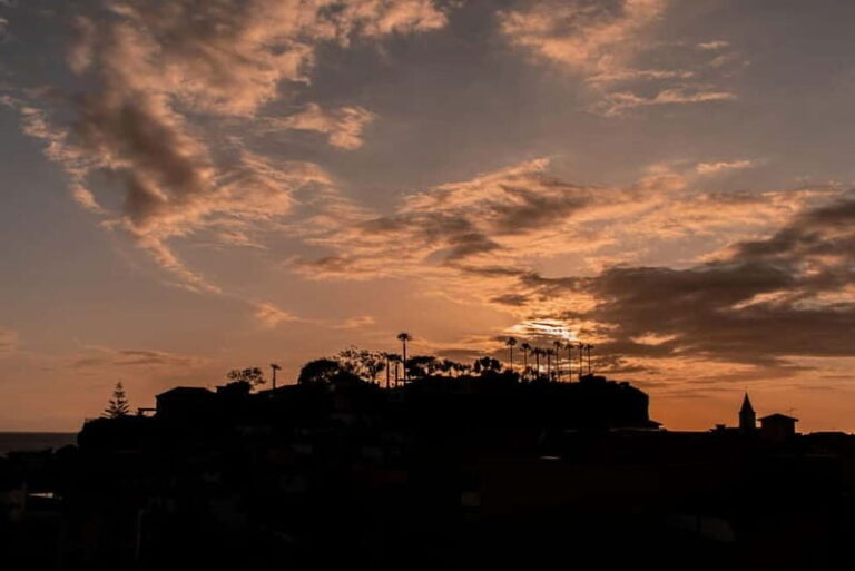 Discover Madeira in your own way: Private full-day tour - Who Is This Tour Best For?  