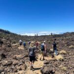 Discover Mount Teide and the Arenas Negras volcano on an intimate tour from the north. - Good To Know