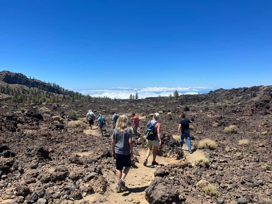 Discover Mount Teide and the Arenas Negras volcano on an intimate tour from the north. - Good To Know