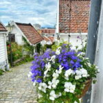 Discover Private+ Stavanger Guided City Tour - An In-Depth Look at the Discover Private+ Stavanger Guided City Tour