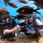 Discover Scuba Diving Experience - Final Thoughts on the Discover Scuba Diving Experience